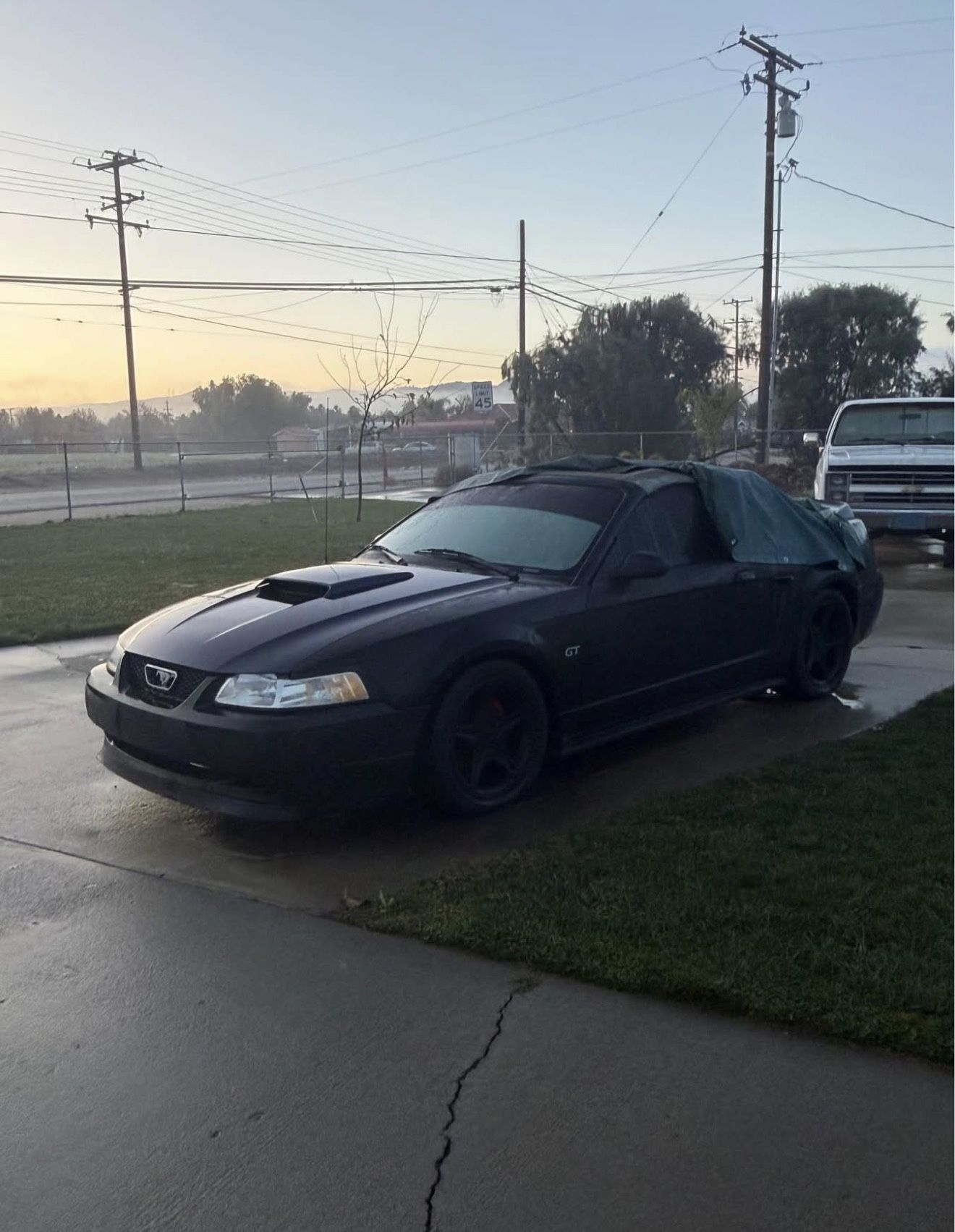 2000 Ford Mustang