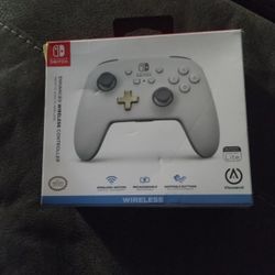 Nintendo Switch Controller 