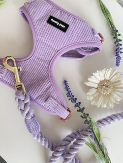 Corduroy Lilac Dog Harness