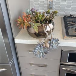 Gold Pots with Succulents
