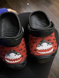 koala Shark Slides