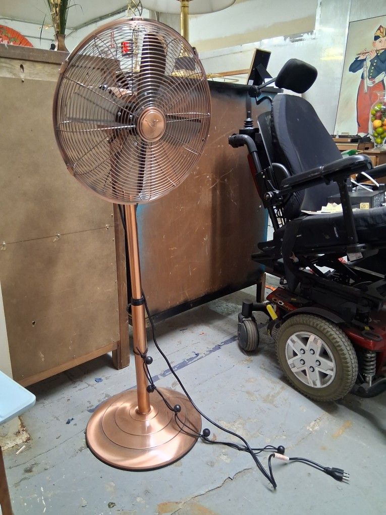 Rose Gold Fan For Sale 