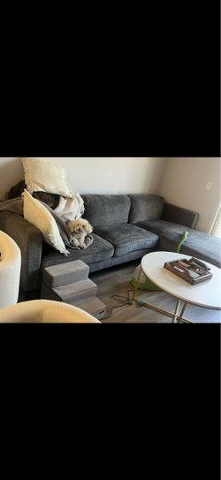 Living Spaces L Couch