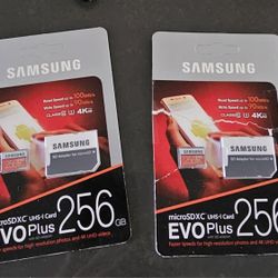 Samsung Evo Plus 256gb 2 Cards