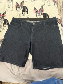Woman’s lane Bryant denim shorts
