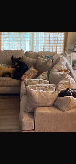 Large White Sectional Couch
