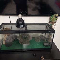 Lizard Enclosure