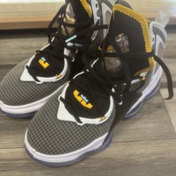 Nike LeBron 19 'Graduate' Shoes