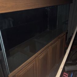 Fish Tank 150 Gal 