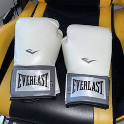 Everlast Boxing Gloves