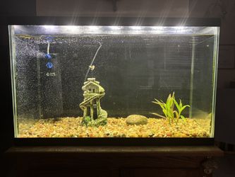 30 Gallon Fish Tank