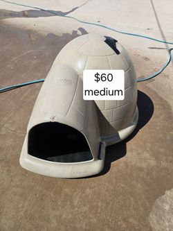 Dog igloo