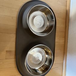 Pet parent: your new feeding solution- dog water and food bowl + slow feeder insert + floor guard!
