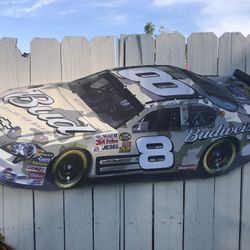 Dale Earnhardt Jr Vinyl Reusable Decal