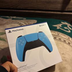 Ps5 Controller 