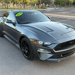 2019 Ford Mustang