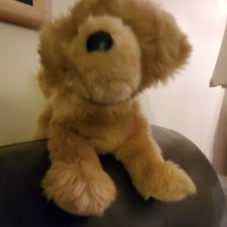 Adorable Puppy Plush Pets