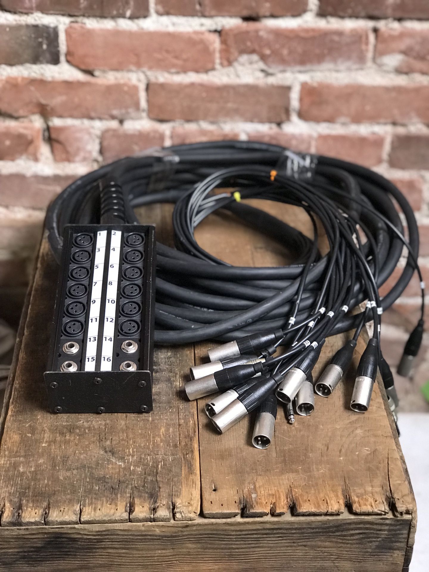 Pro Co Sound StageMaster Snake 16 Channel Stagebox to Fanout (12x Send + 4x 1/4" TRS Stereo Phone Male Return) (50')