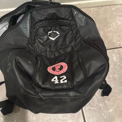 Softball Bag 
