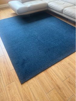 Blue Carpet Area Rugs Multiple Sizes and Prices