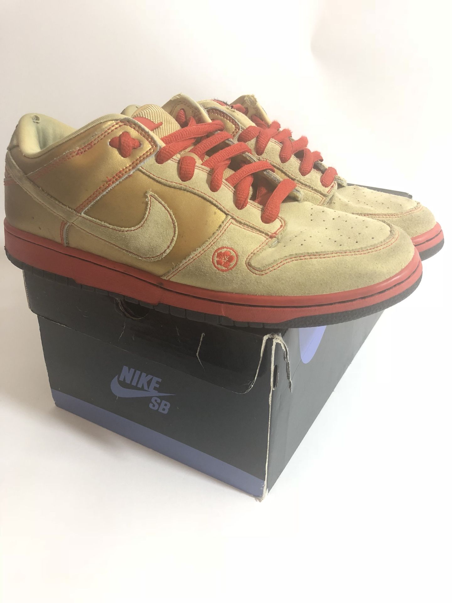 Nike SB dunk Money Cat