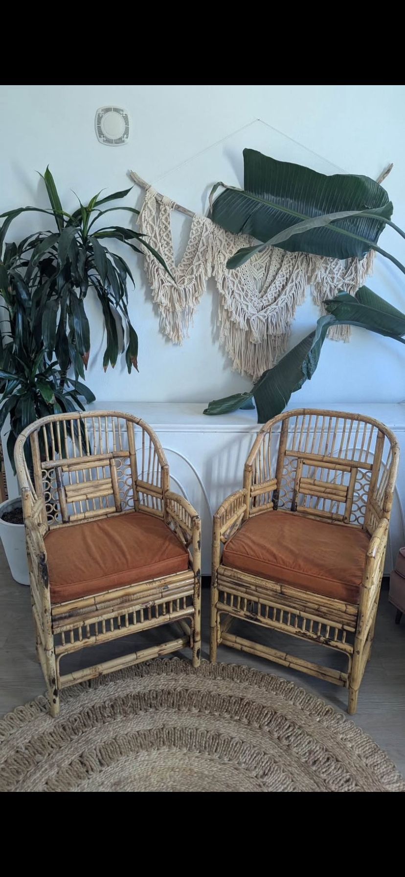 Vintage Rattan Cane Chairs