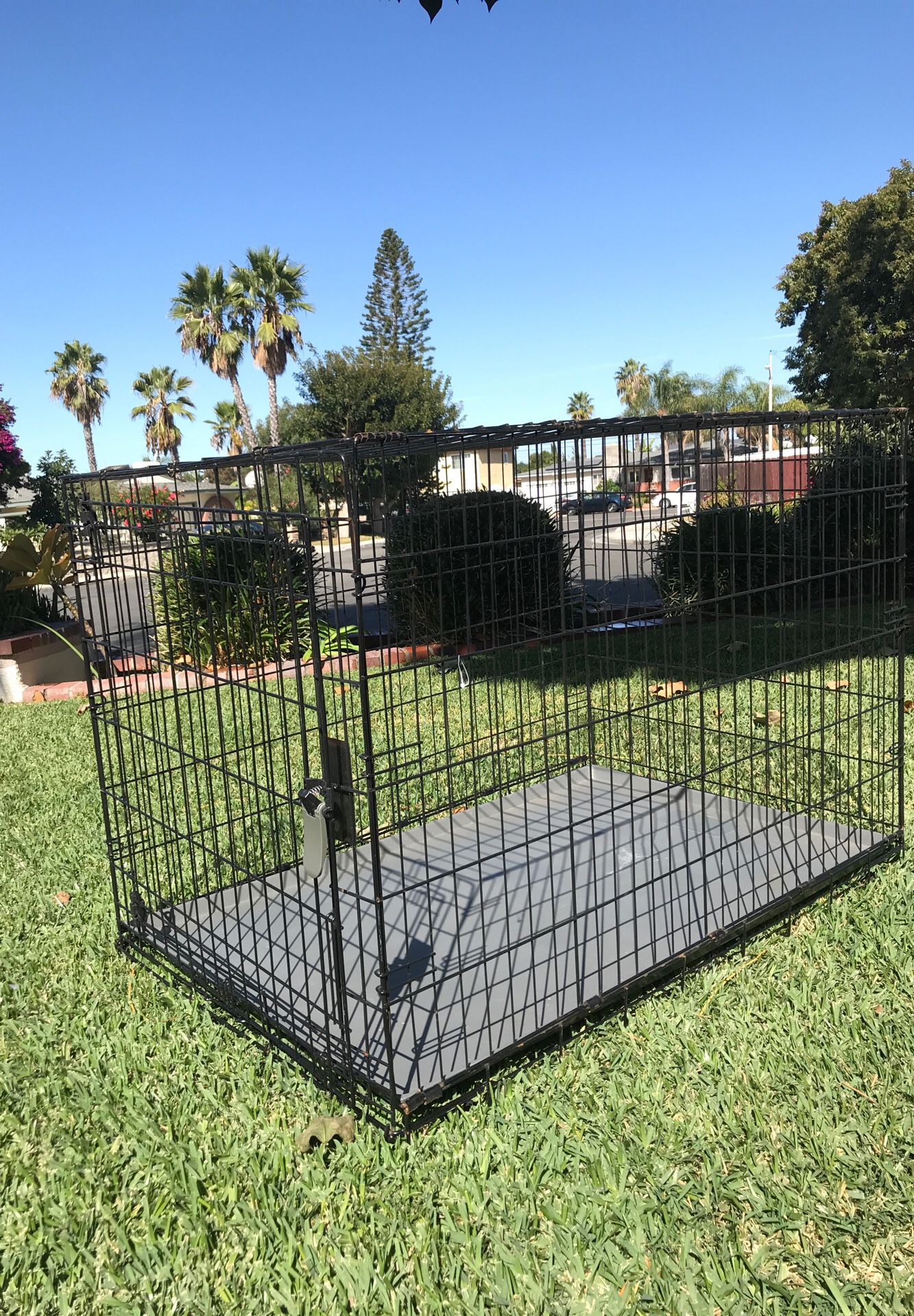 $25 Large Dog Crate! Great Condition!