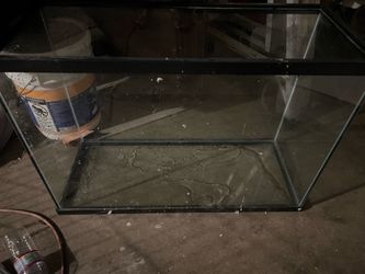 29 Gallon Tank