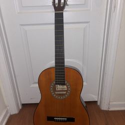 Lotus Acoustic Guitar