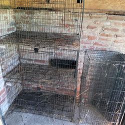 4 Rabbit Cages W/ Feeders And Water Bottles 