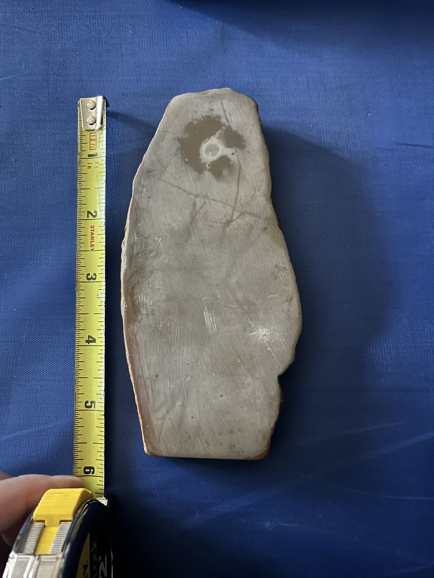 Cambrian trilobite fossil  main image 4
