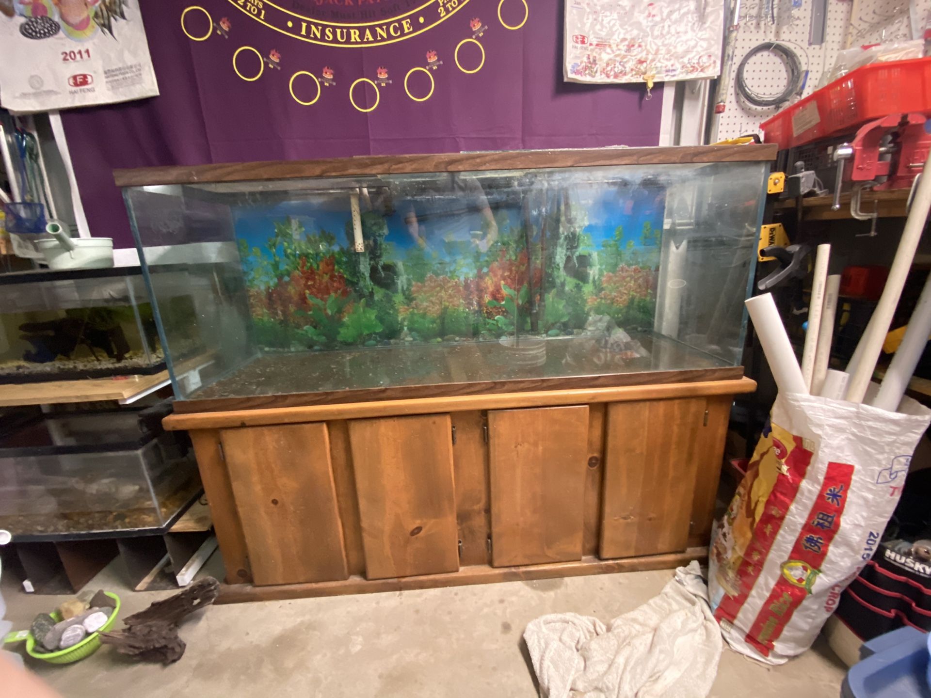 110 gallon aquarium w/ stand