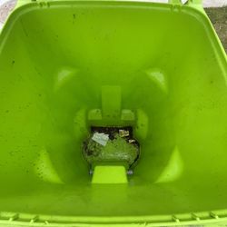 Trash Can Cleaning 