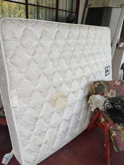 Clean Sealy postermatic queen size adjustable bed