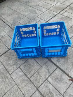 Basket both for $10