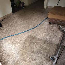 Steam Carpet Cleaner