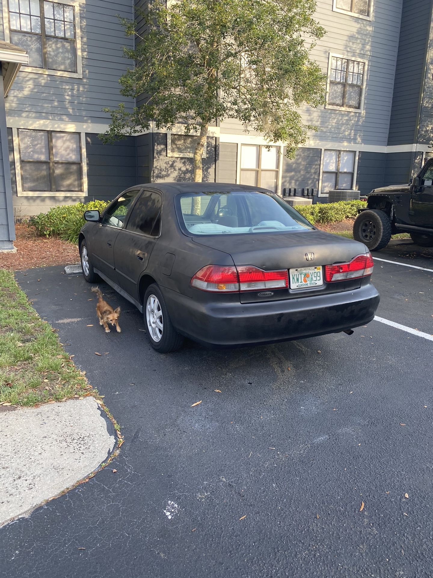 2002 Honda Accord