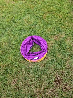 Dog tunnel