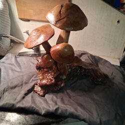 Mushroom Arrangement 