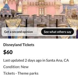 Disneyland Ticket 