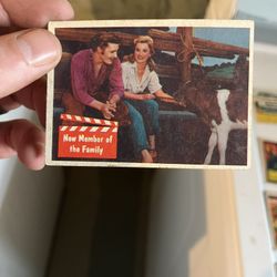 Elvis Cards