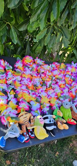 Flower graduation leis