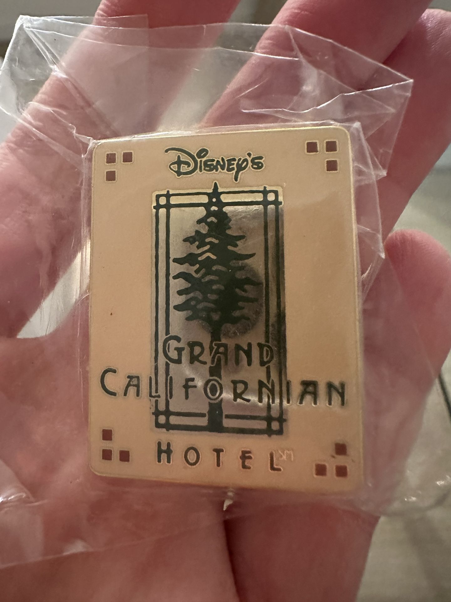 Disney Pin