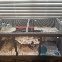 Hamster/pet cage