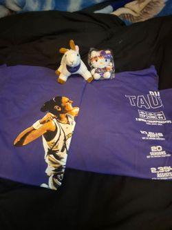 Diana Taurasi limited edition G.O.A.T/ HELLO KITTY