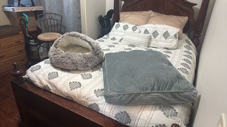 Pet beds