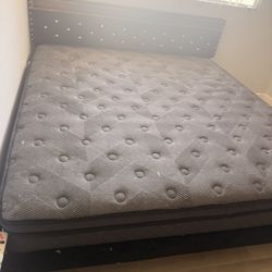 King Bed 