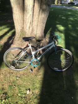 26” mountain bike