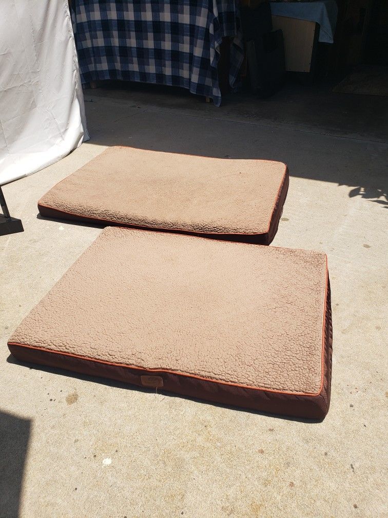 Pet Bed - Medium And Large Size - $15 Small Size $10