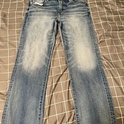 American Eagle Pants 